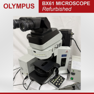 Olympus BX61 motorized microscope
