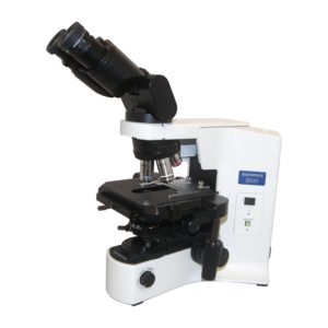 Olympus BX41 microscope