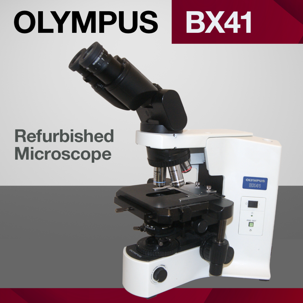 Microscope Olympus BX41
