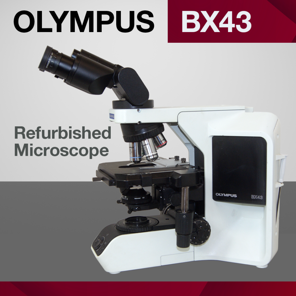 Microscope Olympus BX43