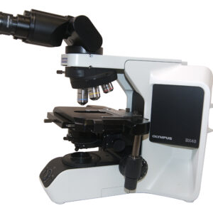 Olympus BX43 microscope